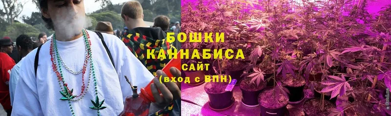 сколько стоит  Тайга  МАРИХУАНА Ganja 